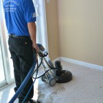 Steam Pro carpet cleaning